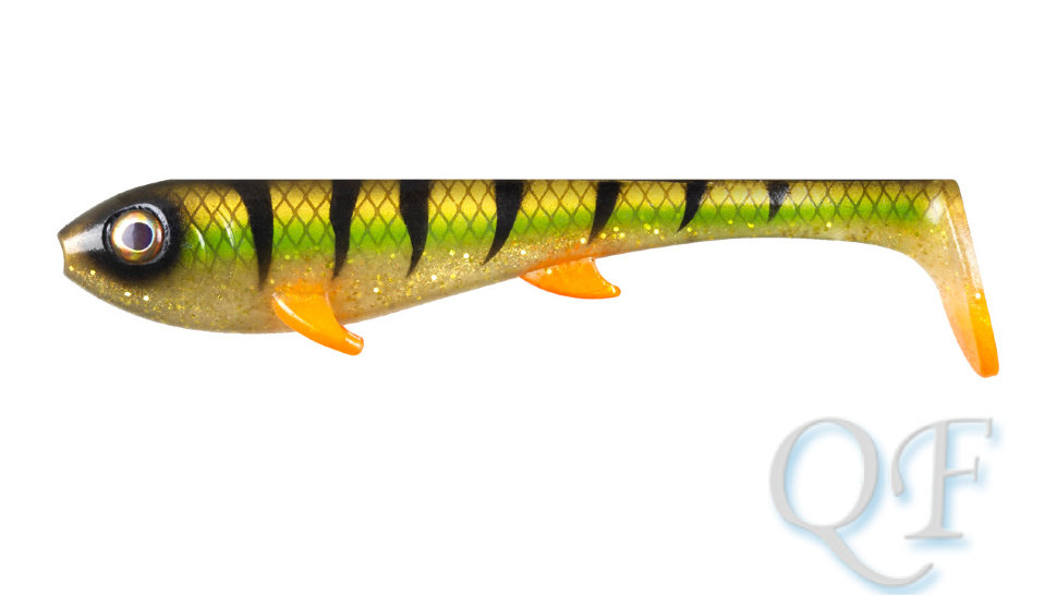 Golden Perch