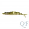Rainbow Trout