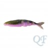 Violet Shad