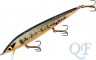 26-Golden Bass