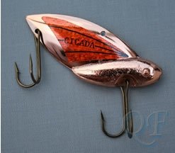 Цикада Reef Runner Cicada 3/4