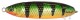 Блесна Rapala Minnow Spoon 5cm 7g (незацепляйка)