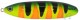 Блесна Rapala Minnow Spoon 5cm 7g (незацепляйка)