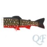 Arctic Char