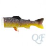 Brook Trout