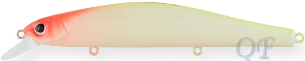 A116L